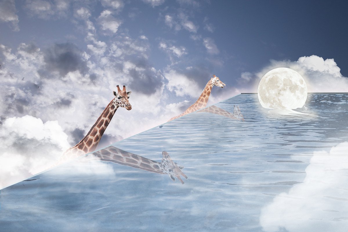 Giraffe Sky Pool Day by Vanessa Stefanova