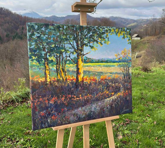 Golden Hour of Early Autumn