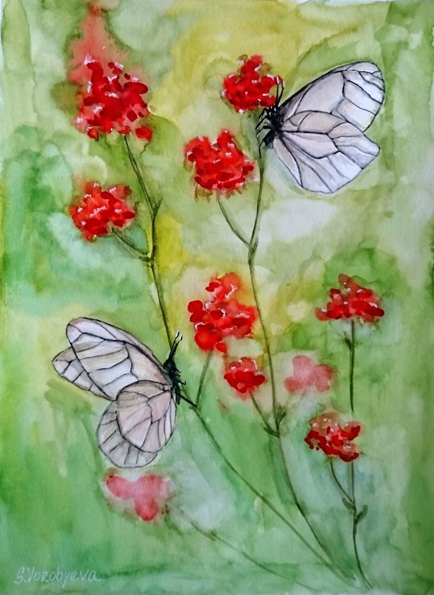 Butterflies by Svetlana Vorobyeva
