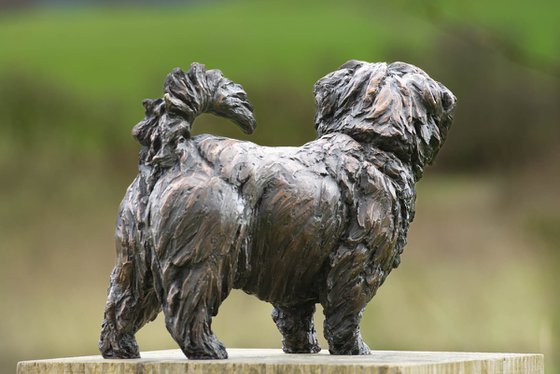 Norfolk Terrier Foundry Bronze