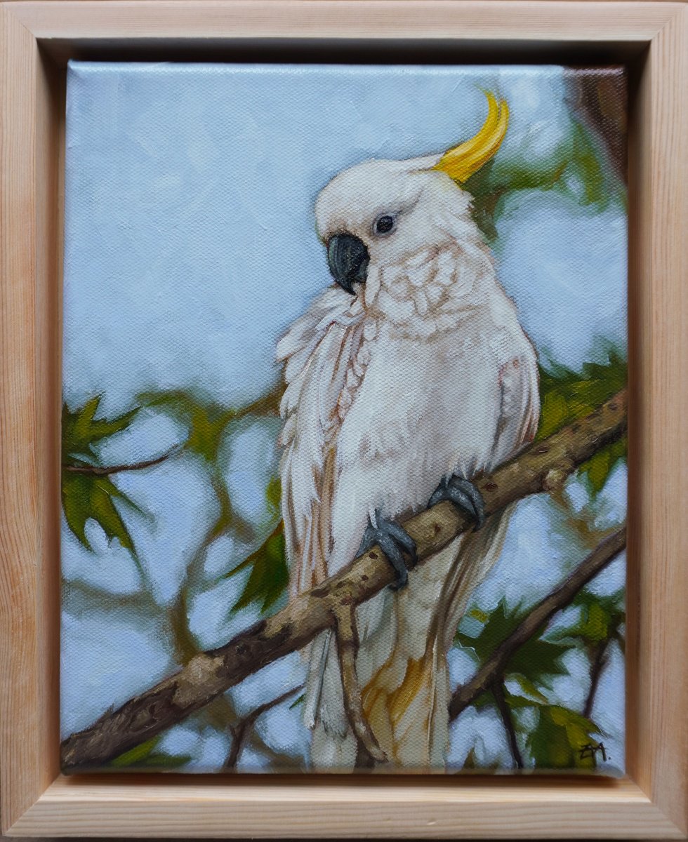 Photorealistic Animal Oil Painting By Eva Chen, 9 X 11, The Gaze, Original Artwork