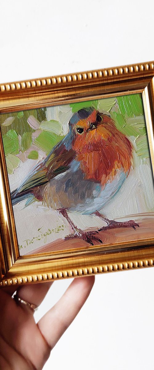 Robin bird by Nataly Derevyanko
