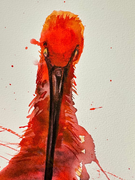 Birds: Two Scarlet Ibises