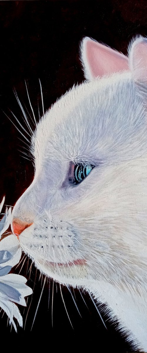 White cat by Ira Whittaker