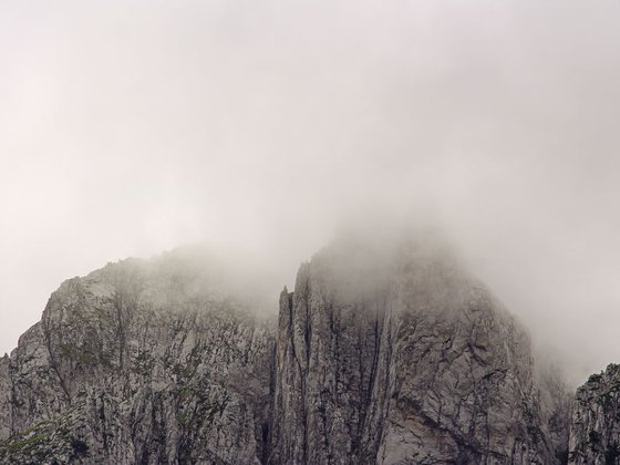 mountains and fog