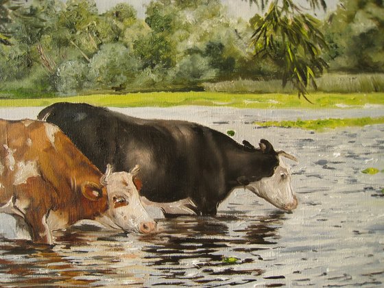 Cow Watering, Farm Life Scene