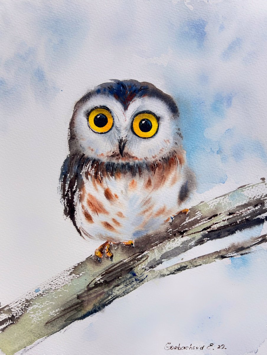 Little owl on a branch #14 by Eugenia Gorbacheva