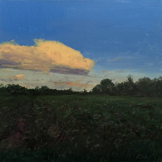 evening in Mikhailovka