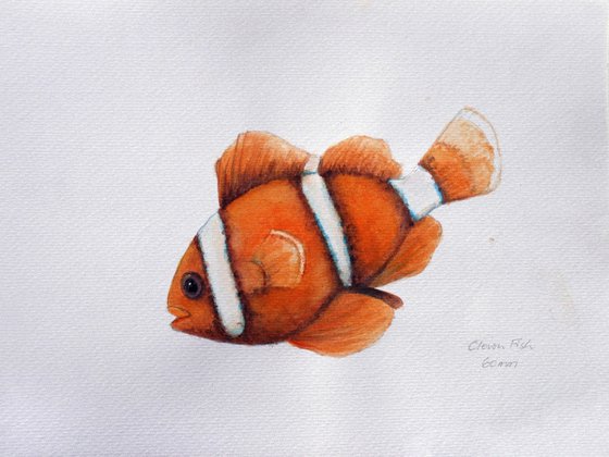 Clown Fish (Nemo)