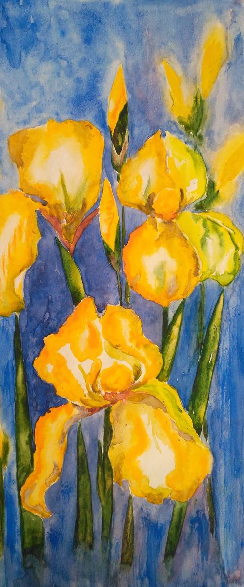 "Yellow irises" 30.5*43 cm\12*17" by Halyna Kirichenko