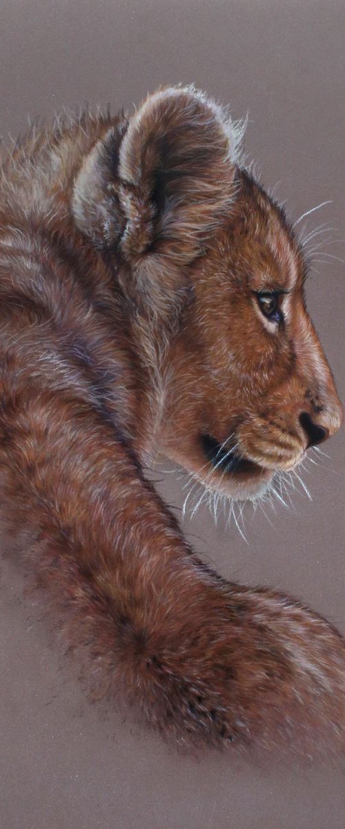 Lion Cub by Tatjana Bril