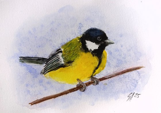 Great tit