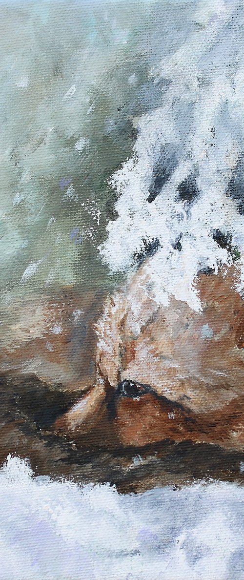 Sleepy Fox by Katerina Koroleva