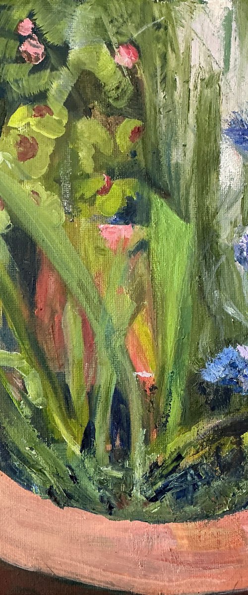 Oxalis and Cornflowers Study by Sandra Haney