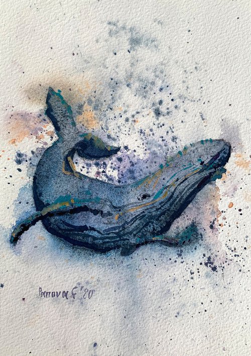 Whale by Evgenia Panova