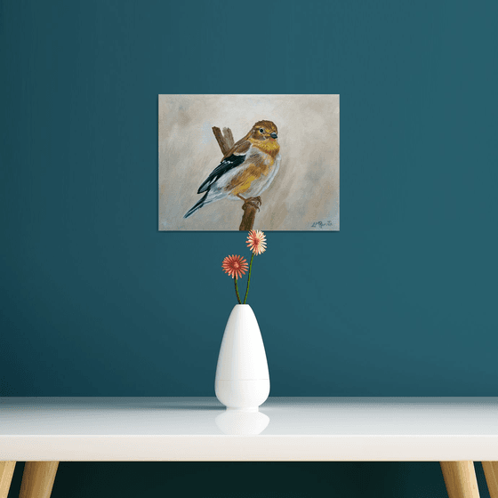 American Goldfinch Portrait