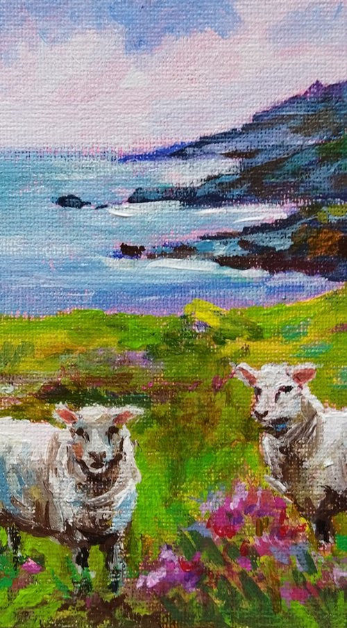 Scottish landscape, sheep on pasture by Ann Krasikova