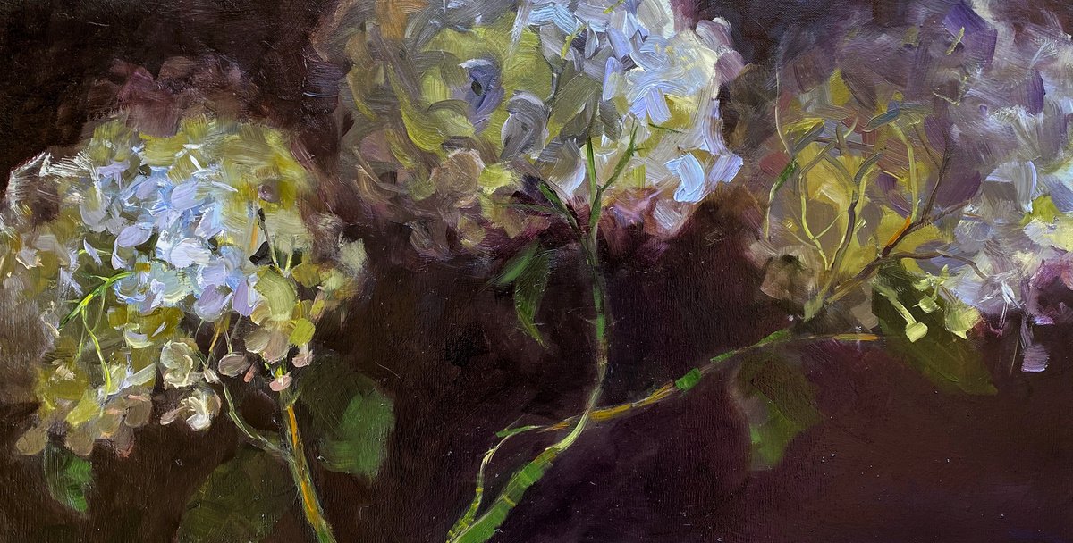 Hydrangea delight by Deana Evstefeeva