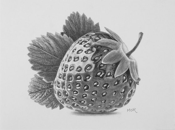 Strawberry with Windshield