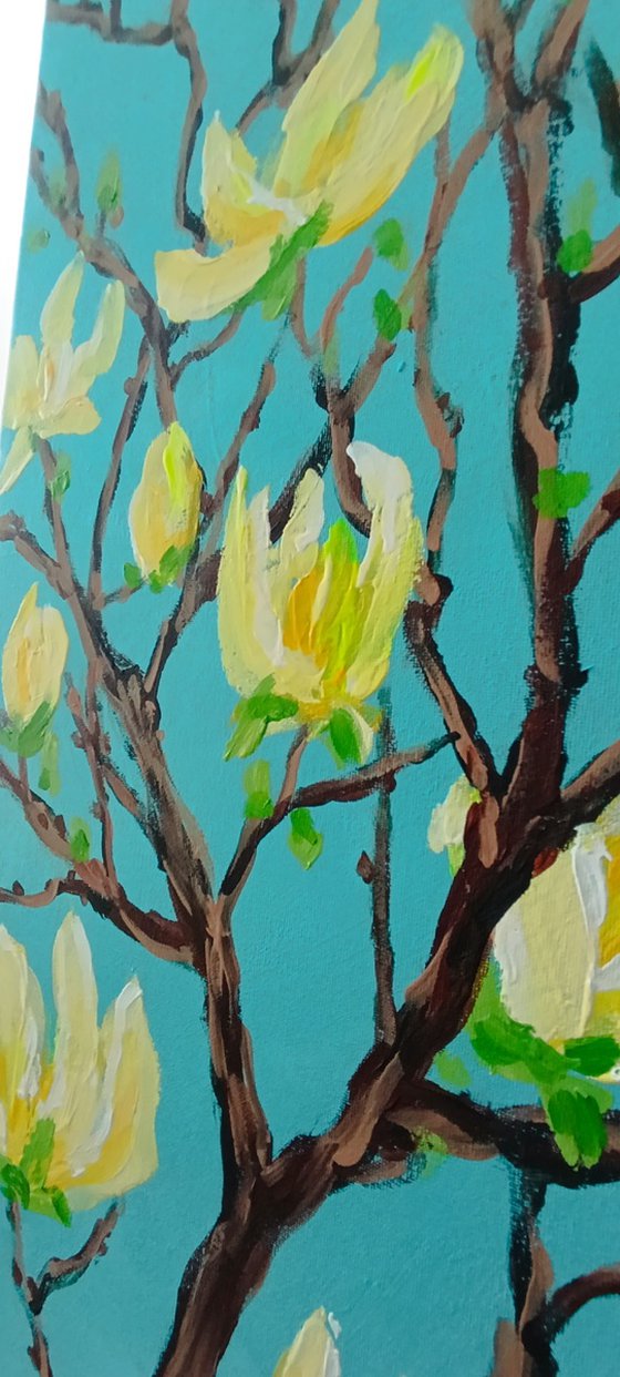 Yellow Magnolia