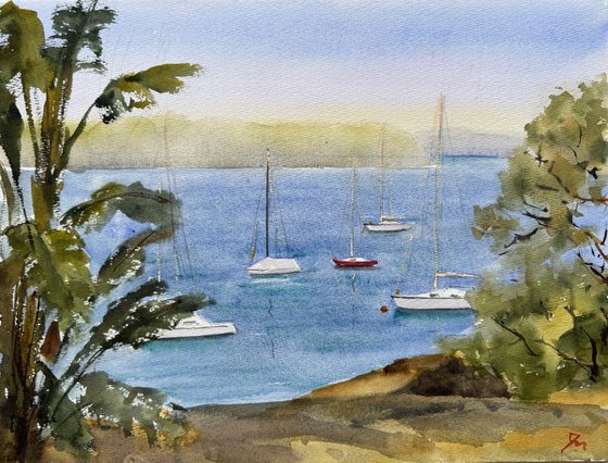 Sailing boats at Mosman bay