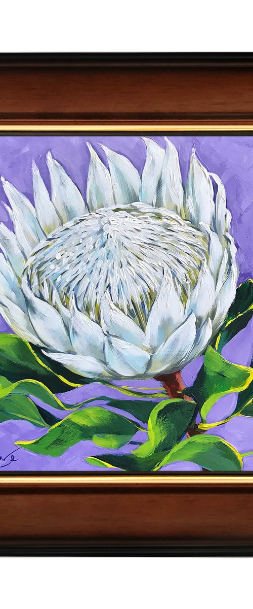 King White Protea by Irina Redine