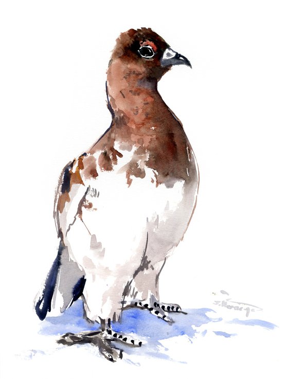 willow ptarmigan