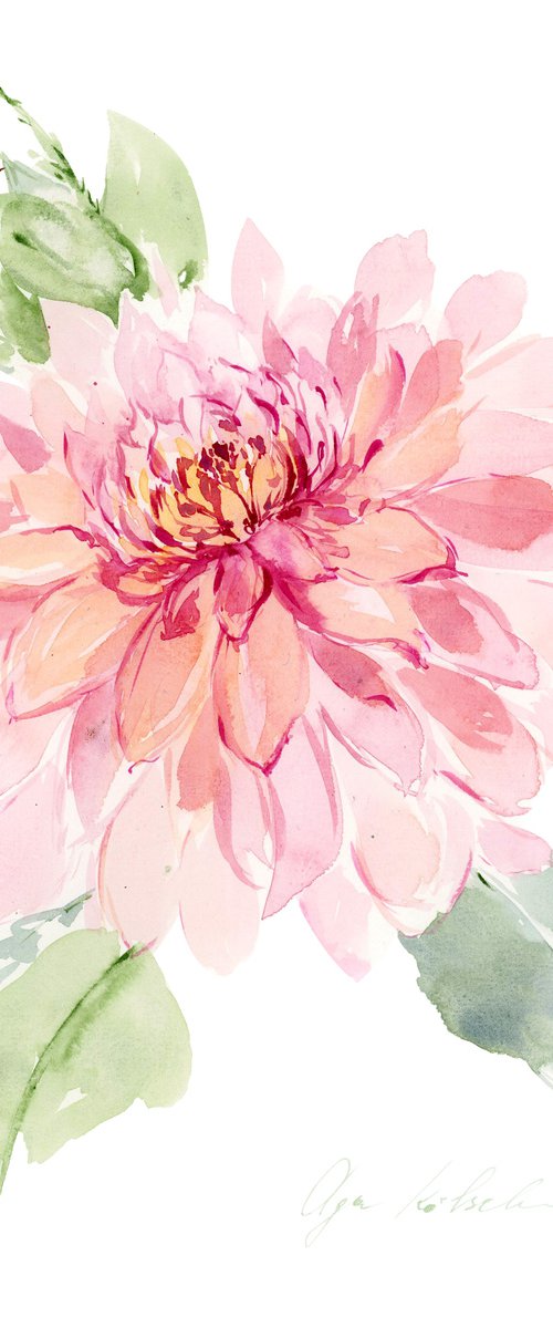 Pink Dahlia watercolor by Olga Koelsch