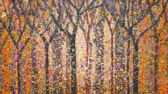 Moments of light - 4787