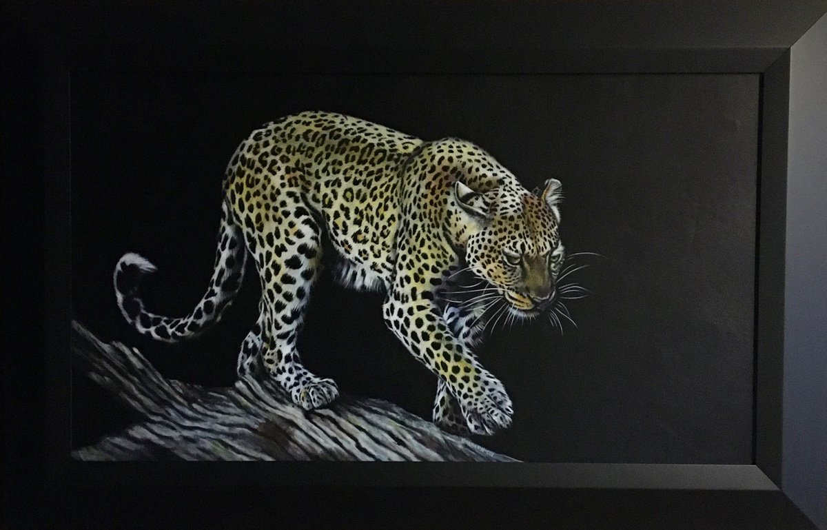 Midnight Beauty Leopard by Karl Hamilton-Cox