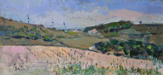 Downs above Sompting