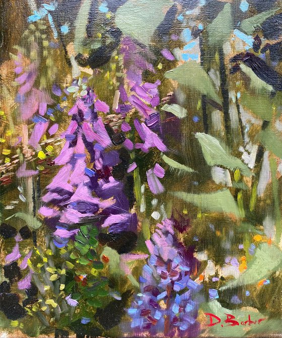 Foxgloves