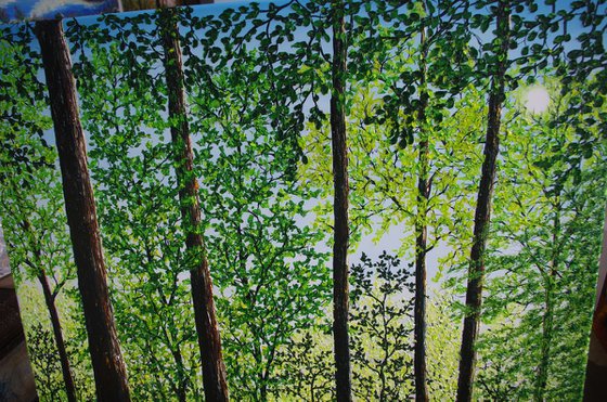 Springtime Shadows