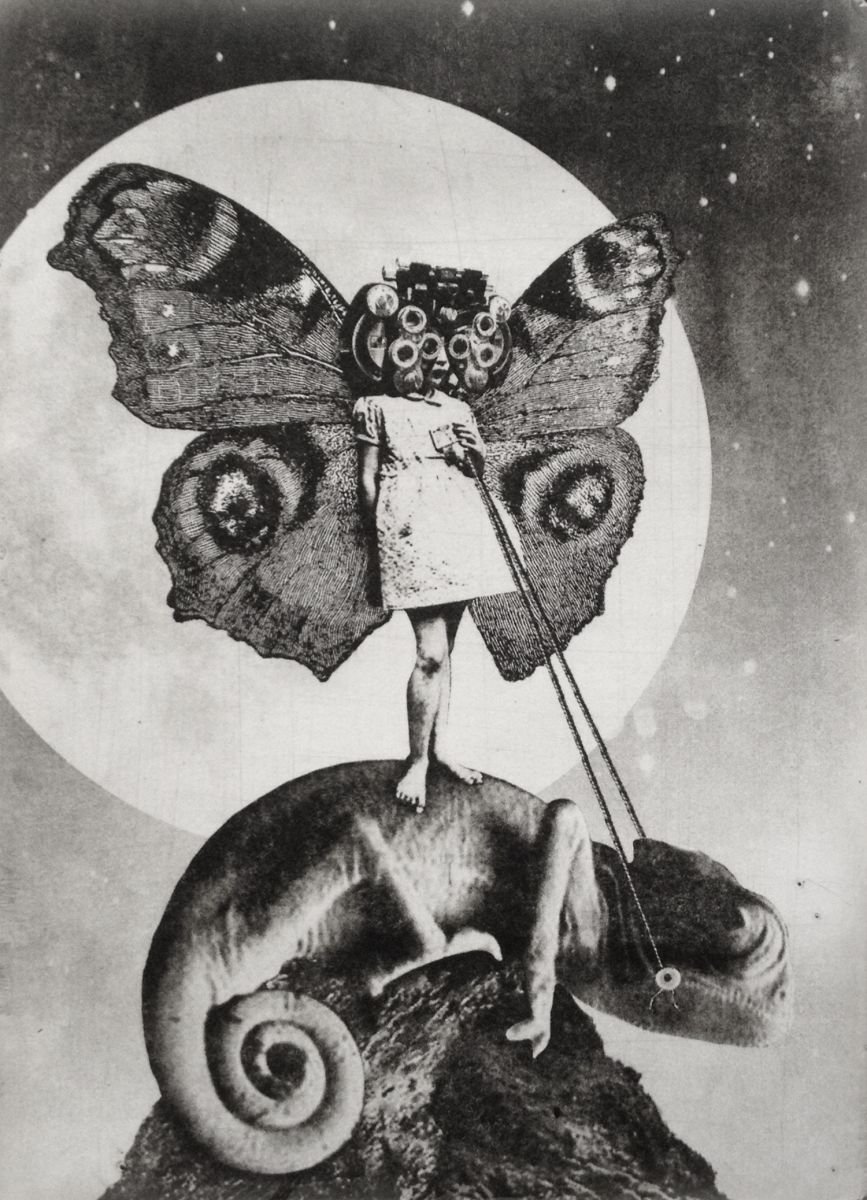 Surrealistic Etchings & Engravings , The Girl And The Chameleon By Jaco Putker, 8 X 11, Artwork For Sale On Artfinder
