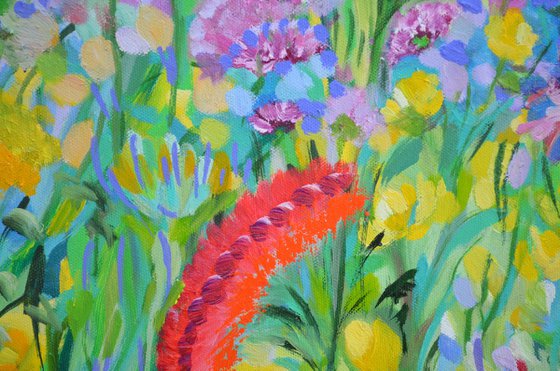 Wildflower Meadow 2026