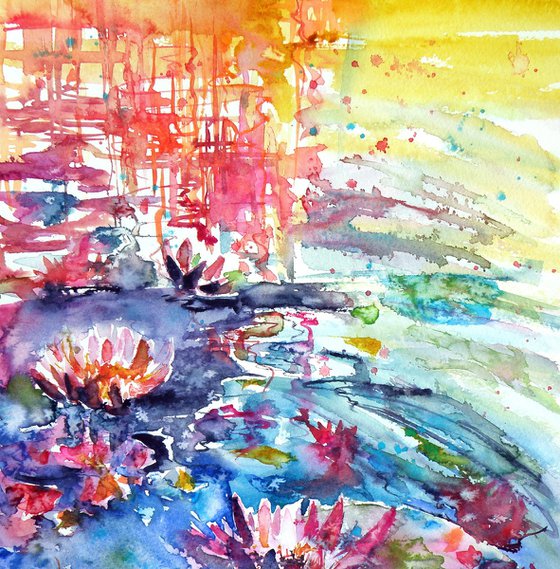 Waterlily
