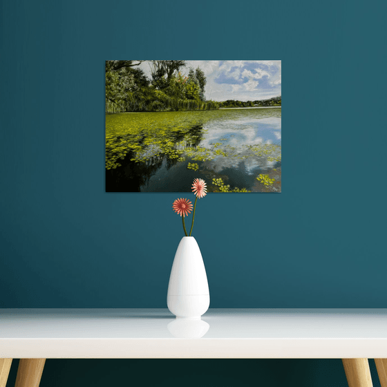 Water Lilies and Cloud Reflections