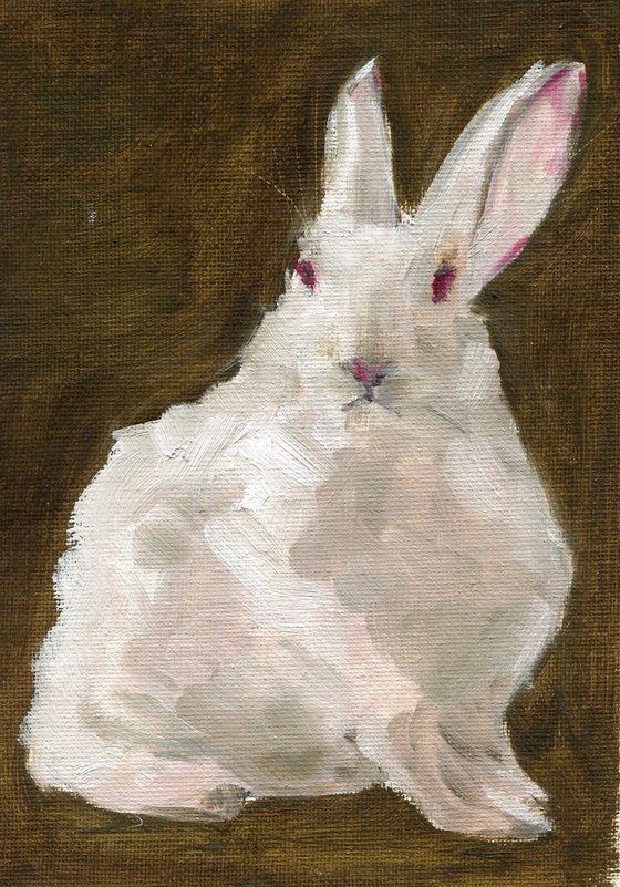 Rabbit