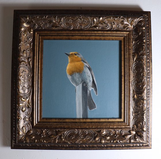 Lockdown's Morning Chorus Series - Robin, Bird Artwork, Animal Art Framed
