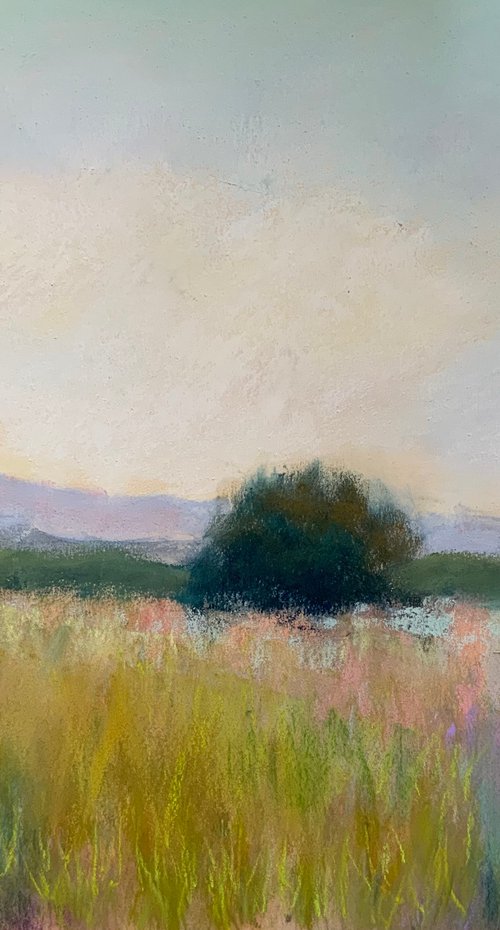 Luminance by Jessica Davidson