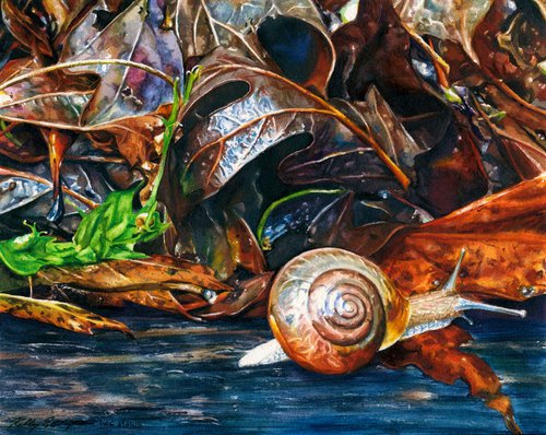A Snail's Pace by Kelly Eddington