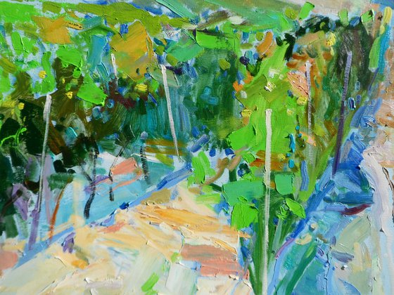 " Valley of vineyards"