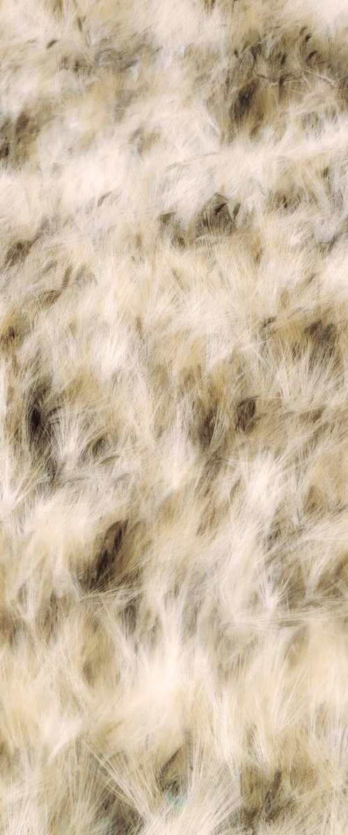 Dancing grains (studio 6) by Karim Carella