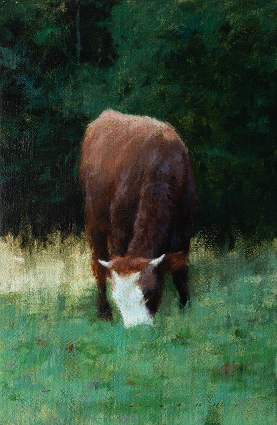 Evening Silence In The Forest