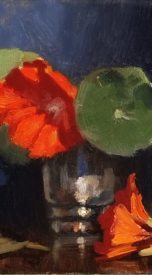Nasturtium by Pascal Giroud