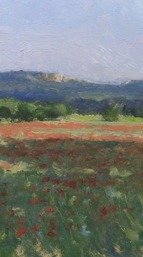 Poppies field near Roussillon by Pascal Giroud