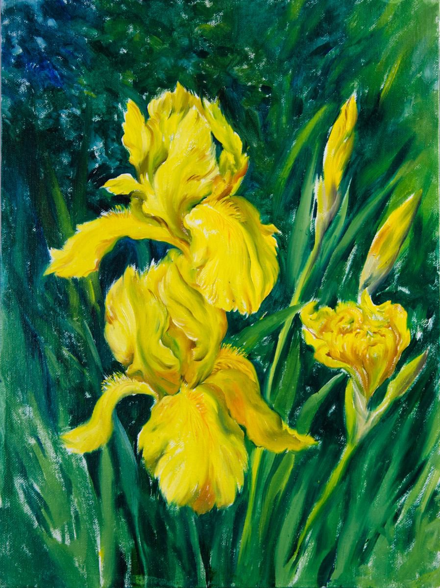 Yellow Irises by Daria Galinski