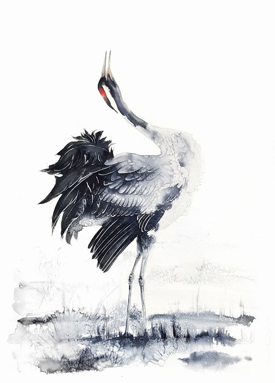 Common crane,  birds, wildlife watercolours