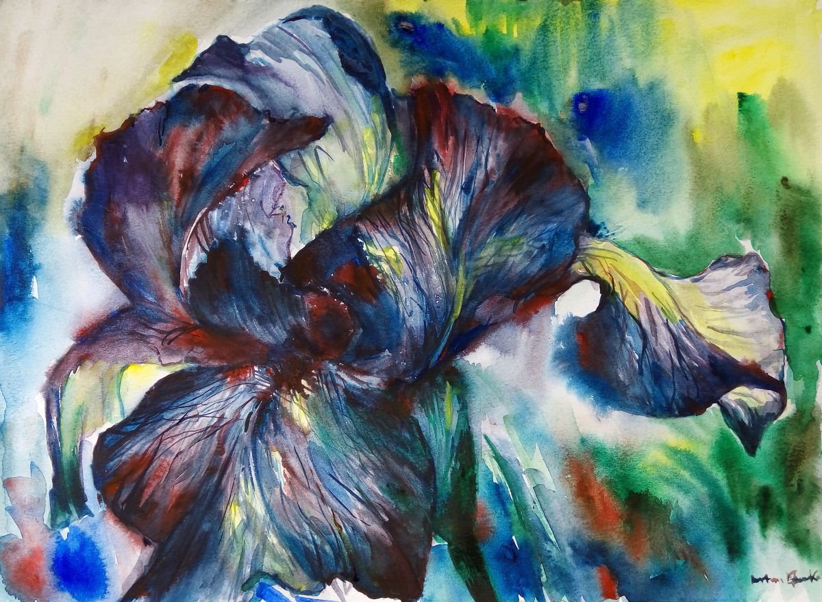 Watercolor Iris by Artem Grunyka by Artem Grunyka