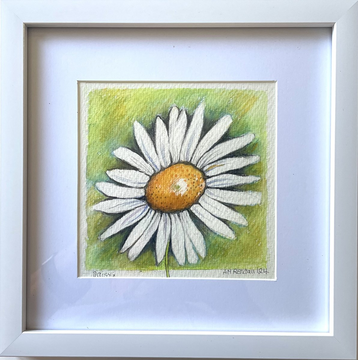 Daisy by Angela Rendall